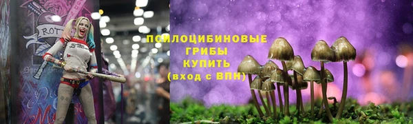 круглые Горно-Алтайск