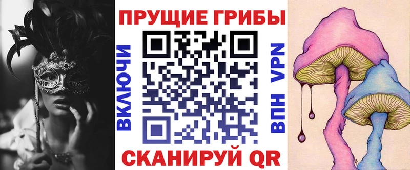 Купить Зубцов Псилоцибиновые грибы Magic Shrooms